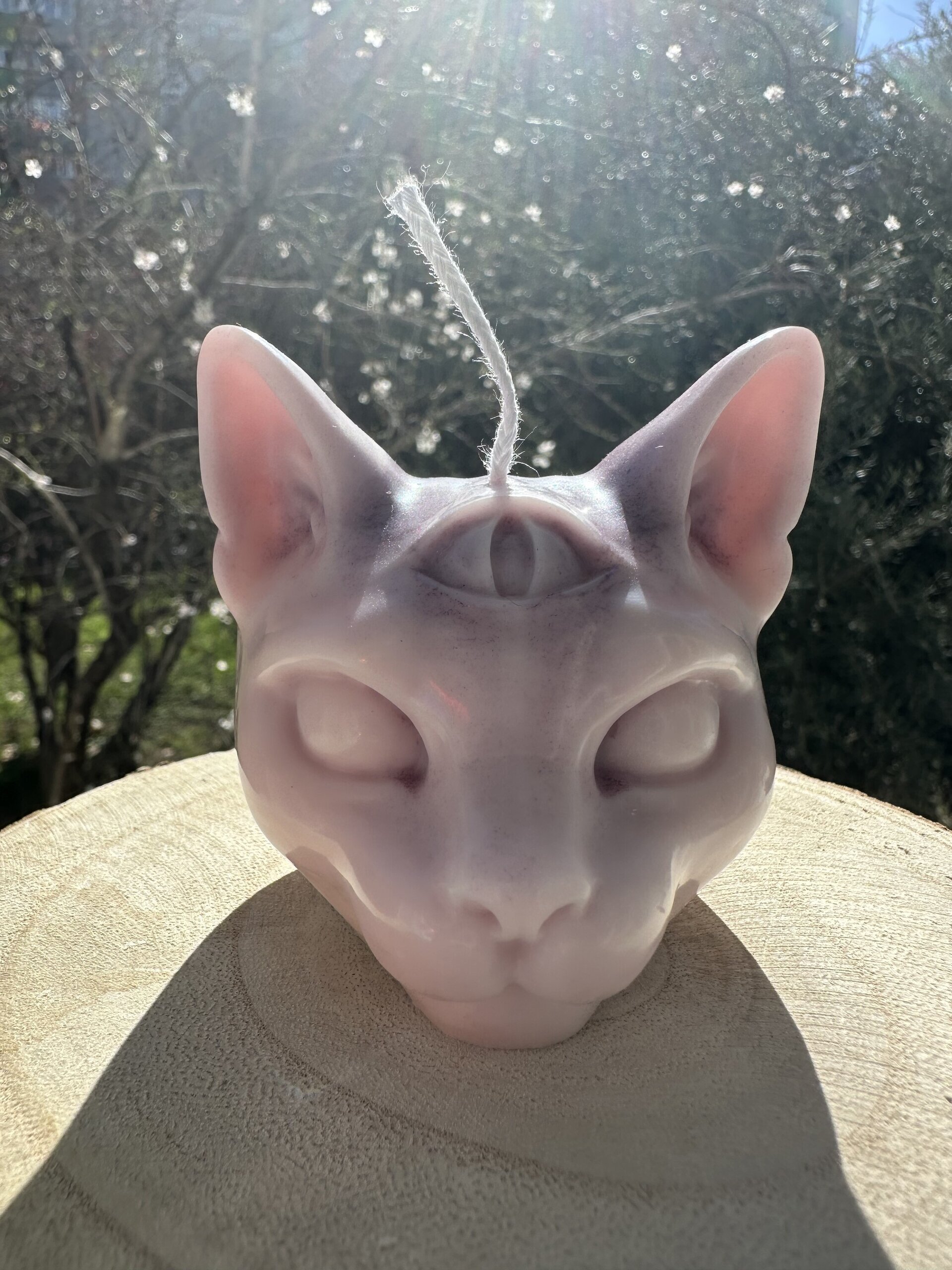 Veja gato ojo horus - 3